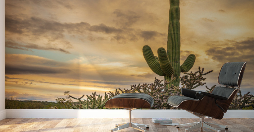 Sunset in Saguaro National Park Tucson Wall Murals