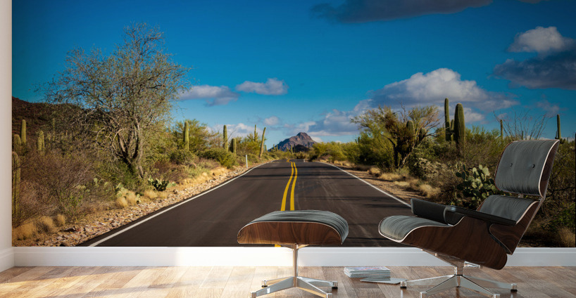 Road and cactus in Saguaro National Park Wall Murals