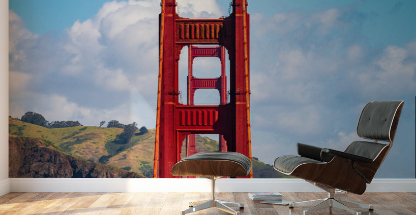 Golden Gate Bridge from state park Wall Murals