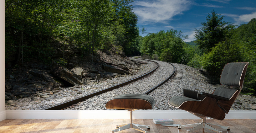 Old railway track at High Falls of Cheat Wall Murals