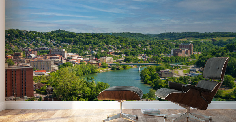 Overview of City of Morgantown WV Wall Murals