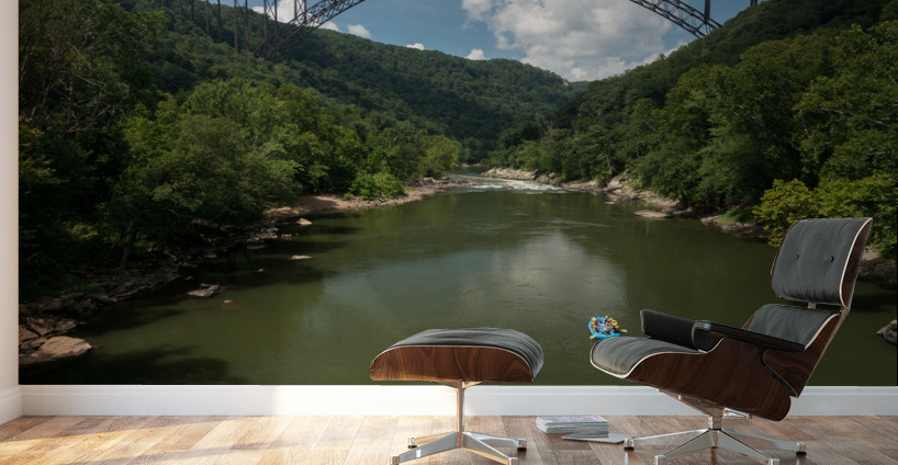 Rafters at the New River Gorge Bridge Wall Murals