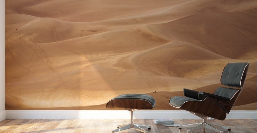 People on Great Sand Dunes NP  Wall Murals