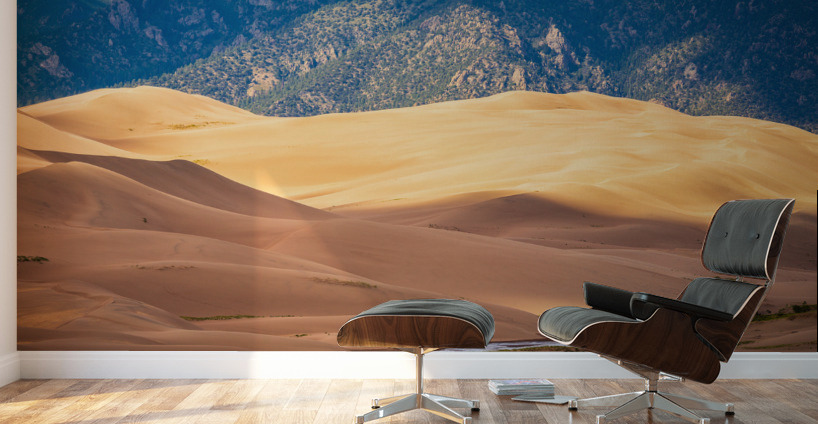 Detail of Great Sand Dunes NP  Wall Murals