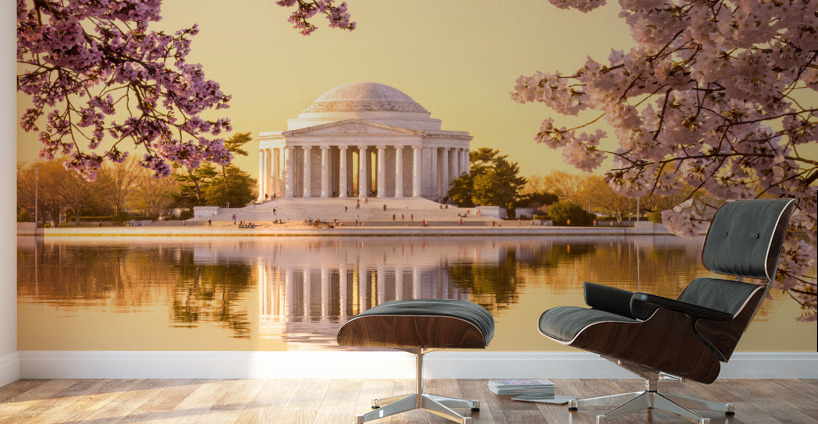 Beautiful early morning Jefferson Memorial cherry blossom yellow Wall Murals