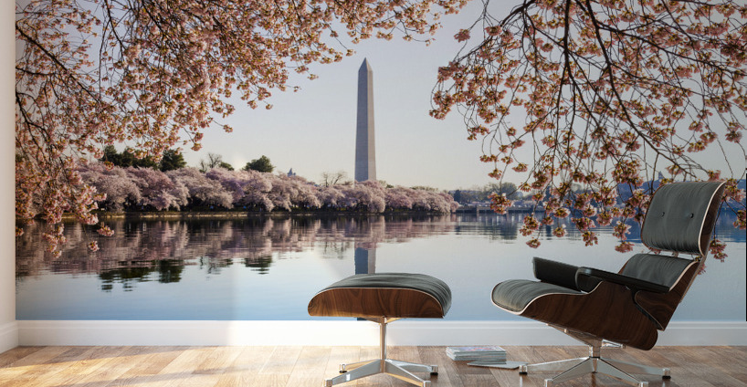 Washington Monument towers above blossoms Wall Murals