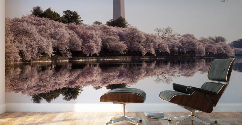 Washington Monument towers above blossoms Wall Murals
