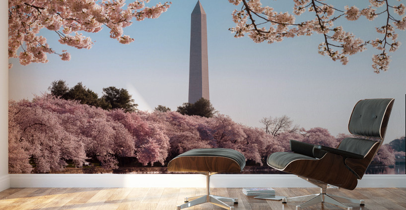 Washington Monument towers above blossoms Wall Murals