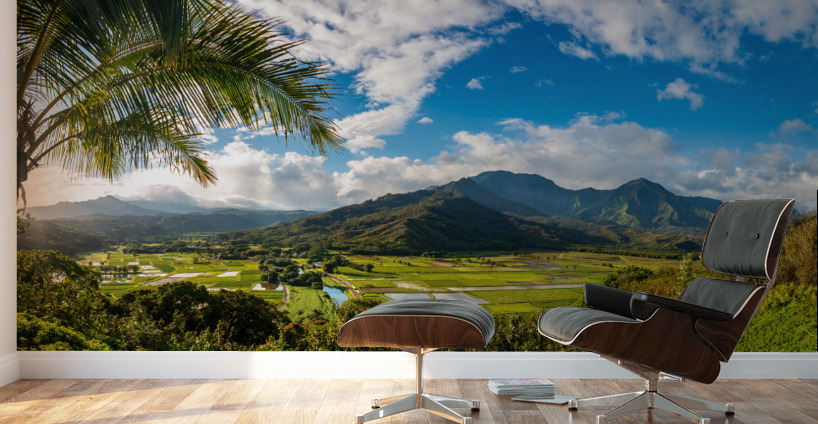 Hanalei valley from Princeville overlook Kauai Wall Murals