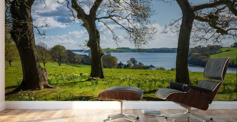 View across daffodils to River Fal near Truro Wall Murals
