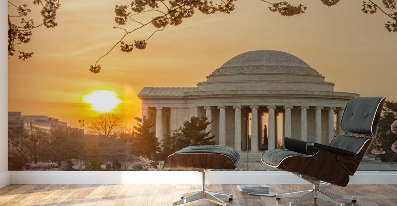 Sun rising by Cherry Blossoms and Jefferson Memorial Wall Murals