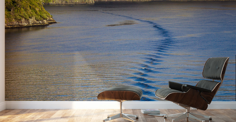 Fjord of Milford Sound in New Zealand Wall Murals
