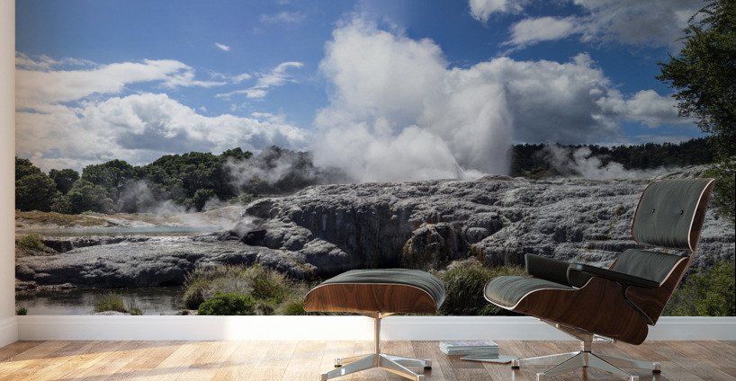 Whakarewarewa thermal geyser area Wall Murals