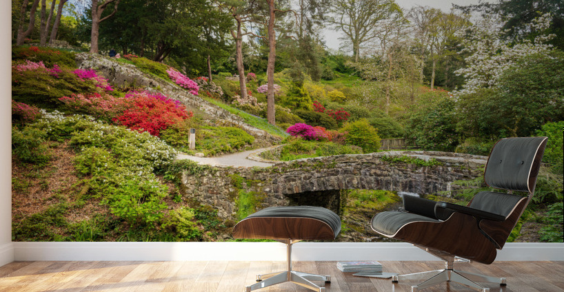 Stone bridge with Azaleas and Rhododendron trees Bodnant Wall Murals