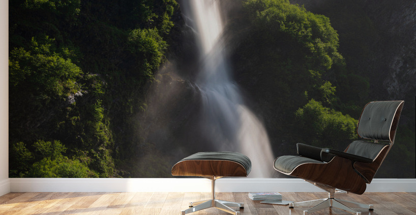 Dramatic waterfall of Bridal Veil Falls in Keystone Canyon Wall Murals