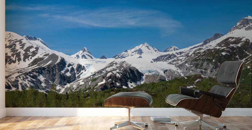 Panorama of Worthington Glacier near Thompson Pass Alaska Wall Murals