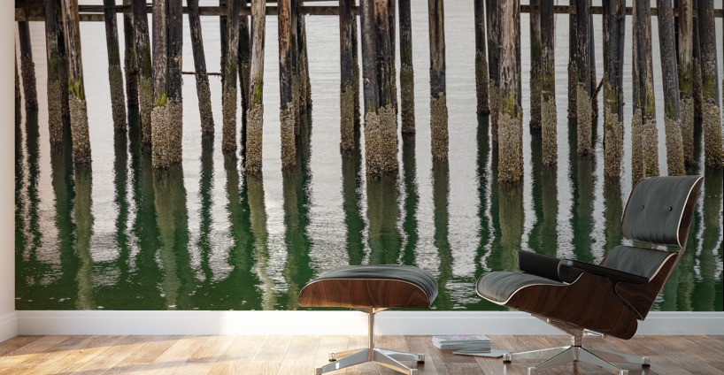 Old wooden pier structure in bay at Icy Strait Point in Alaska Wall Murals