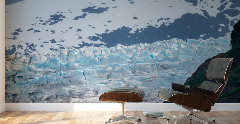 The Mendenhall glacier near Juneau in Alaska Wall Murals