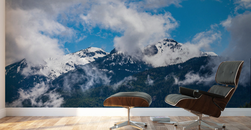 Mt Menzies as seen from Alaskan Cruise in the Discovery Passage Wall Murals