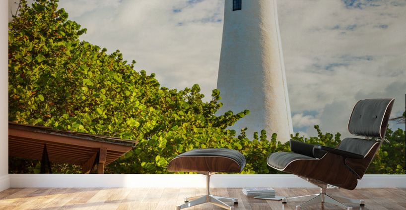 Vertical format of Cape Florida lighthouse in Bill Baggs Wall Murals
