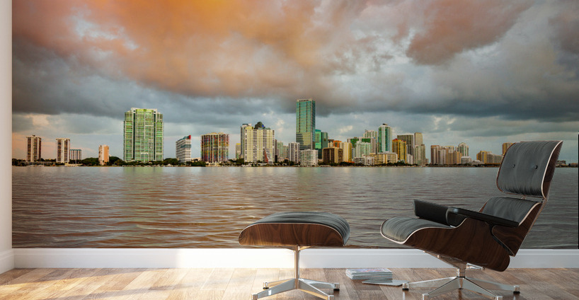 Dawn view of Miami Skyline  Wall Murals