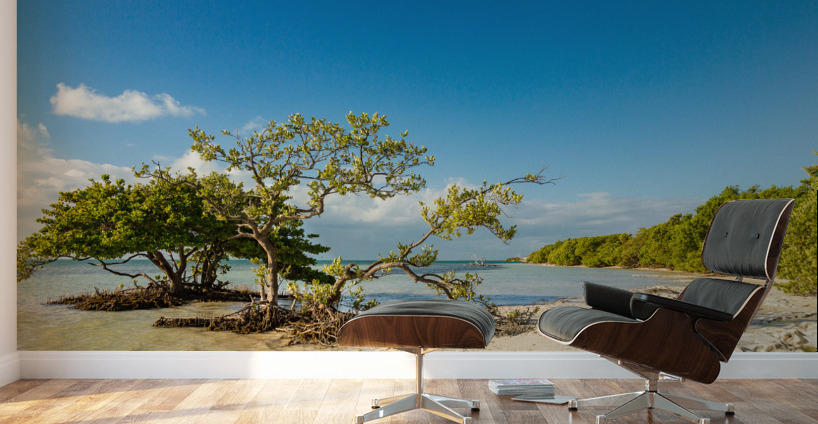 Florida Keys Annes Beach Wall Murals