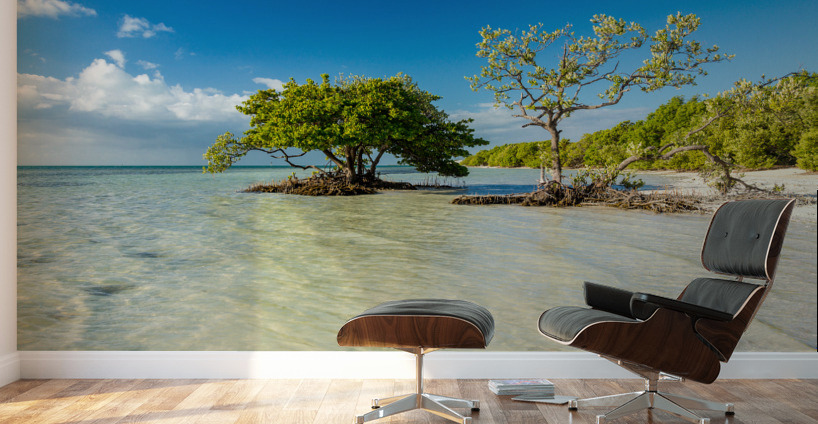 Florida Keys Annes Beach Wall Murals