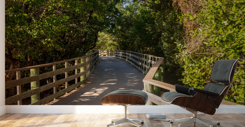 Florida Keys raised walkway  Wall Murals