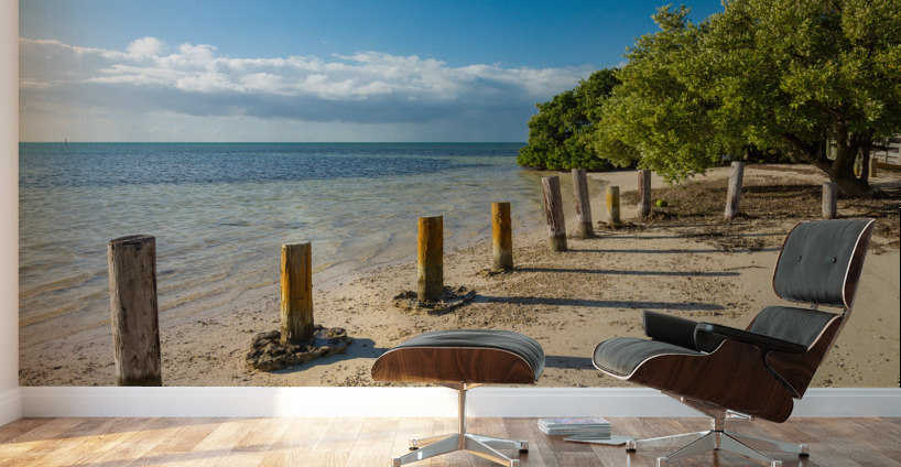 Florida Keys Annes Beach Wall Murals