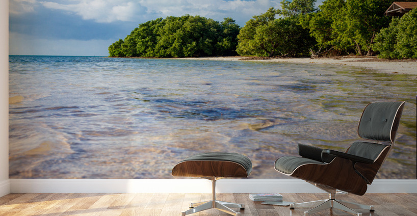 Florida Keys Annes Beach Wall Murals
