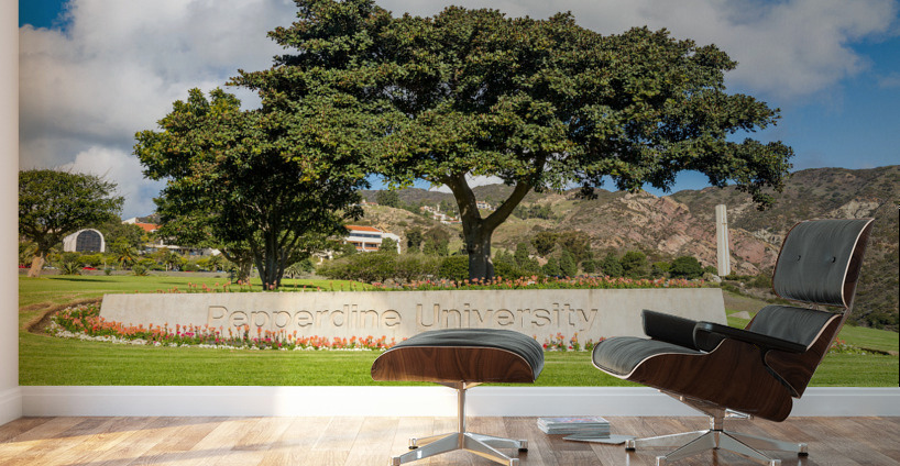 Campus at Pepperdine University Wall Murals