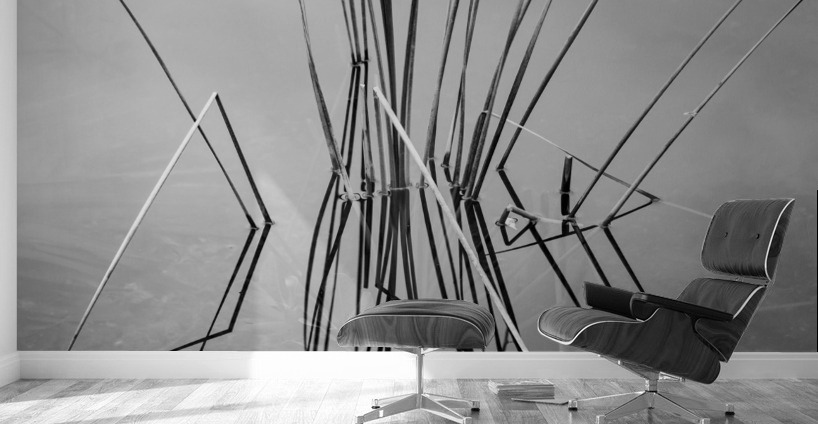 Empty bed of reeds in Everglades Florida Wall Murals