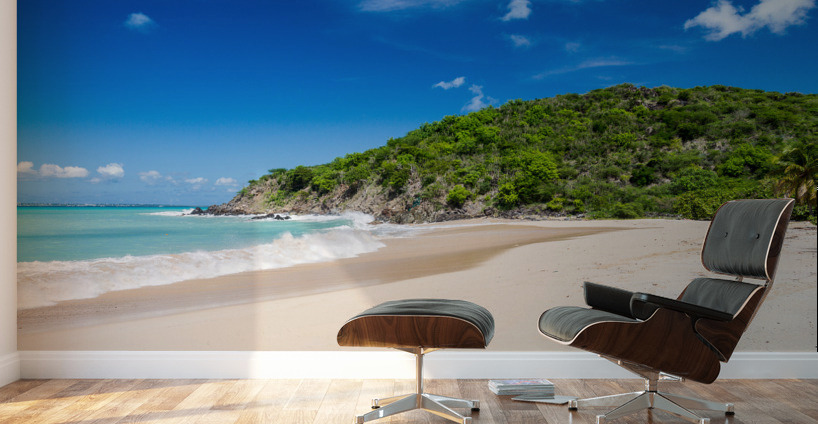 Happy Bay off coast of St Martin Caribbean Wall Murals
