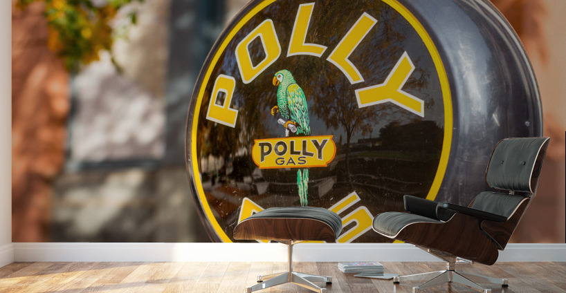 Reflections in Polly Gas pump Wall Murals