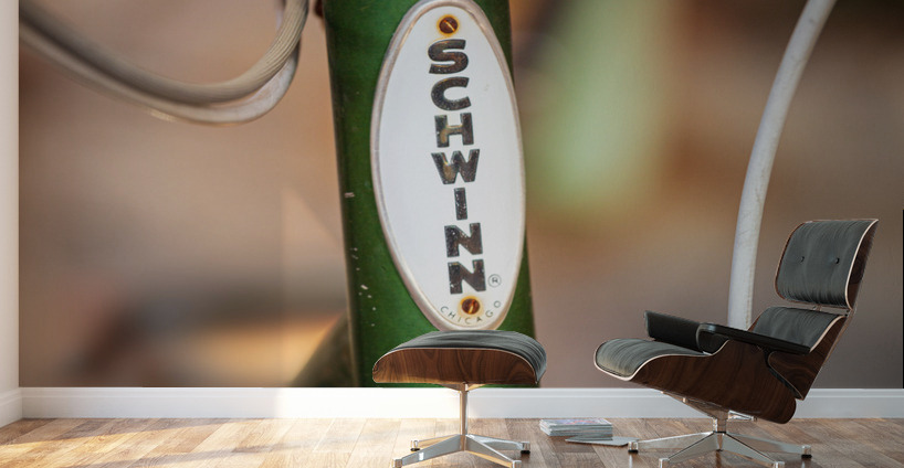 Memories of youth with Schwinn bike frame Wall Murals