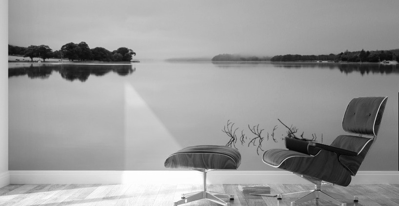 Reflection of branch in Coniston Water  Wall Murals