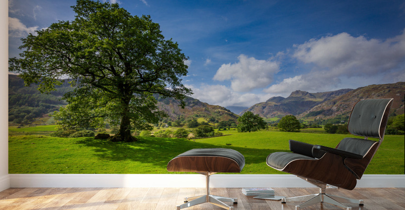 Tree with Langdale Pikes in Lake District Wall Murals