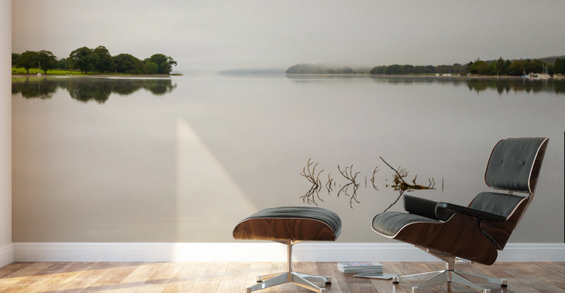 Reflection of branch in Coniston Water  Wall Murals