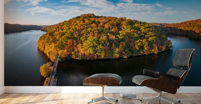 Aerial view of fall leaves in Cheat Lake Park Wall Murals