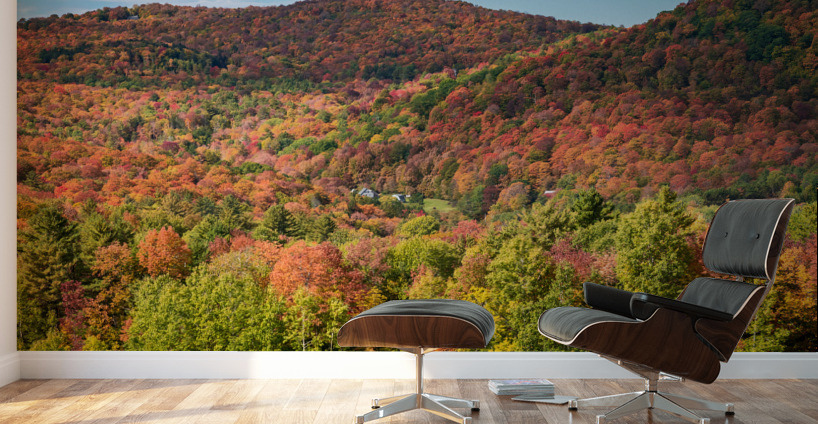 Multi-colored hillside in Vermont during the fall Wall Murals