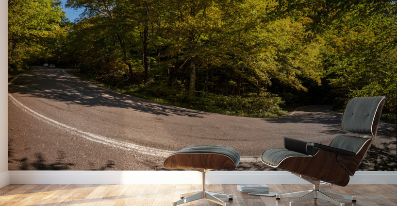 Narrow hairpin bend in Smugglers Notch in Vermont Wall Murals