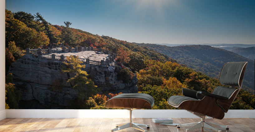 Coopers Rock panorama in West Virginia with fall colors Wall Murals