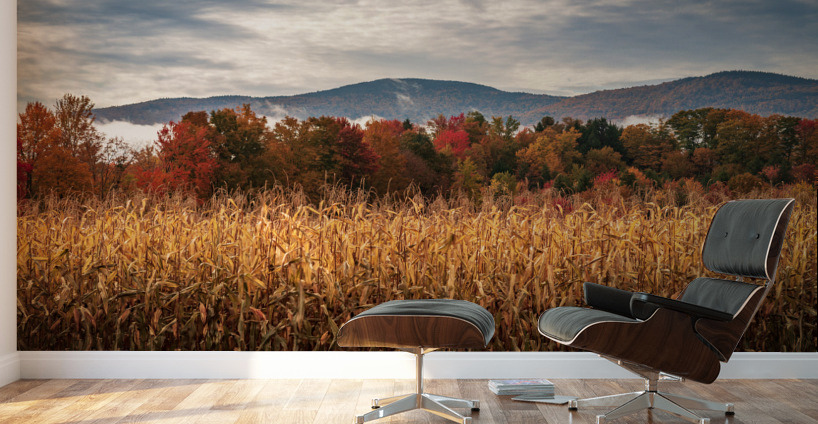Multi-colored fall landscape in Vermont Wall Murals
