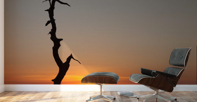 Gnarled tree on Skyline drive in Virginia Wall Murals