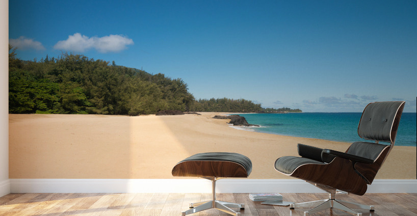 Lumahai Beach Kauai on calm day Wall Murals