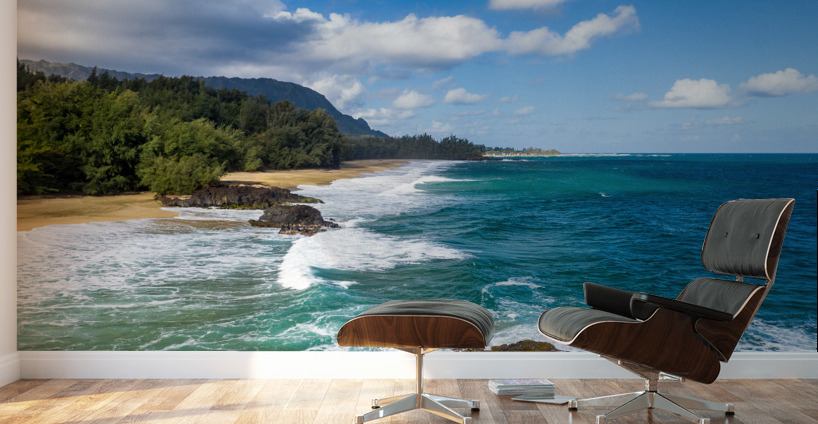 Aerial photo of Lumahai Beach on the north shore of Kauai Wall Murals