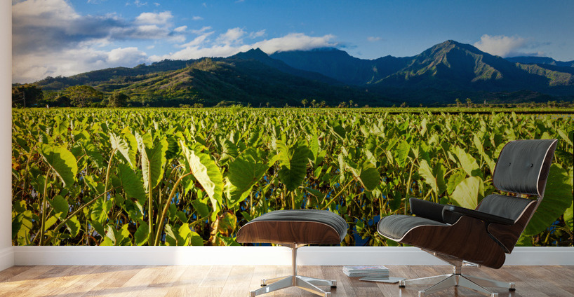 Hanalei Valley in Kauai Wall Murals