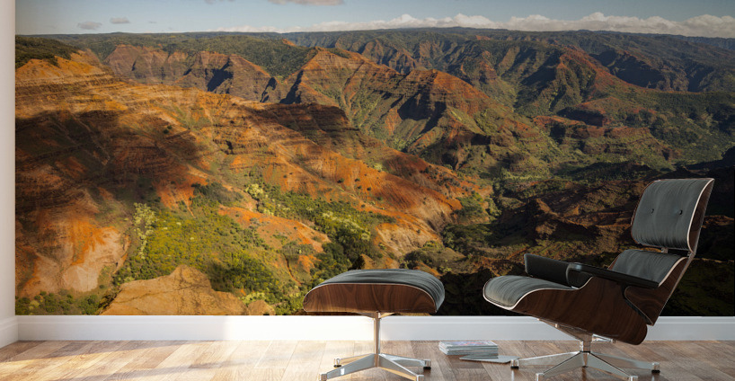 Garden Island of Kauai from helicopter tour Wall Murals