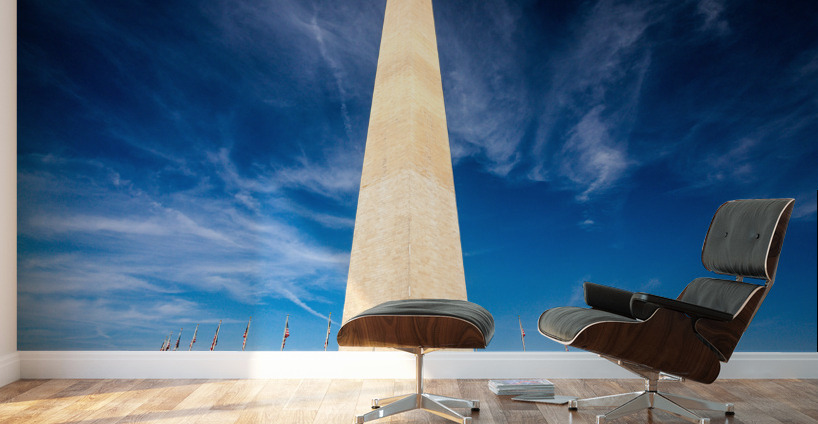 Wide angle view of Washington Monument Wall Murals