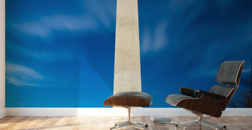 Wide angle view of Washington Monument Wall Murals